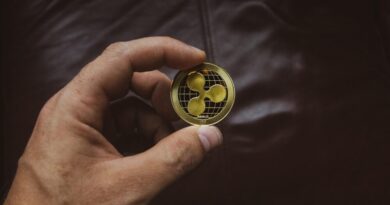 Ripple’s AI Integration and Cybersecurity Vulnerabilities