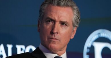 Lawmakers stall Newsom’s wildfire liability bill, saying it doesn’t go far enough for victims