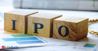 Karamtara Engineering raises Rs 262 crore from anchor investors ahead of IPO. HDFC MF among top buyers