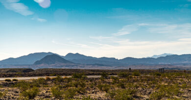 Judge stops Trump- backed information center on public land