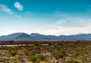 Decide halts Trump-backed knowledge middle on public land