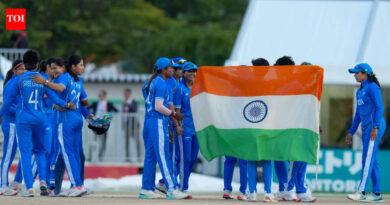 How a Nagoya baseball floor was reworked into an Asian Games cricket venue