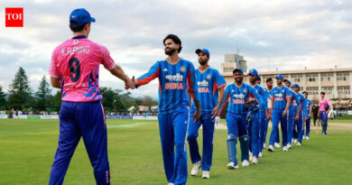 Japan will get a crash course in cricket as Asian Games convey sport to new viewers