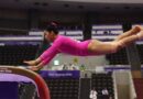 Gymnast Pranati Nayak finishes sixth in Asian Games vault ultimate