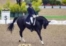 Horse declared ‘unfit’ by EFI will get all-clear from Asian Games organisers