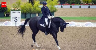 Horse declared ‘unfit’ by EFI will get all-clear from Asian Games organisers