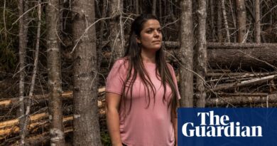 ‘It’s simply getting worse’: anger in Maine over Trump’s commerce conflict with shut neighbor Canada | Maine
