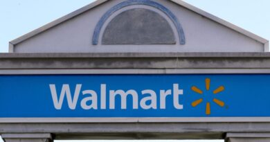 Walmart says retail big and AI procuring assistant aren’t utilizing private data to set costs