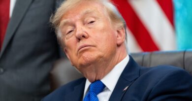 Taxpayer-funded pro-Trump adverts violate legal guidelines in opposition to ‘publicity and propaganda,’ authorized consultants say