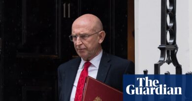 Healey appoints Labour manifesto author, including to election hypothesis | Labour