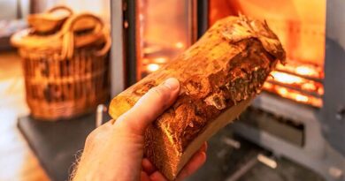 Brits face £1,000 log burner wonderful in the event that they make one mistake