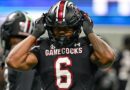 South Carolina star Stewart suspended after throwing punch