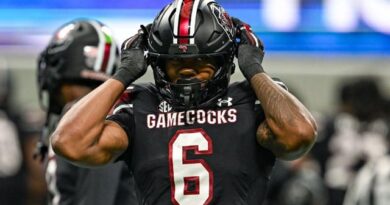 South Carolina star Stewart suspended after throwing punch