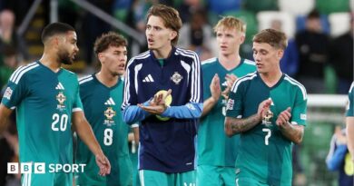 Northern Ireland 0-0 Hungary: Michael O’Neill ‘optimistic’ as NI keep unbeaten begin
