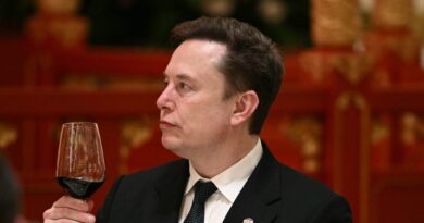 Elon Musk Says He’s Living in a Trailer While Overseeing XAI Plans