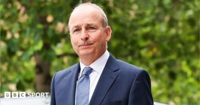 Micheal Martin: Israel FA feedback on Heimir Hallgrimsson ‘unacceptable’