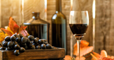 Best Fall Wines for Entrepreneurs in 2026