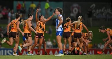 North Melbourne’s 32 sport win streak ended by the mighty Hawks