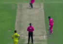 Cooper Connolly takes a reflex catch at full attain, Australia vs South Africa