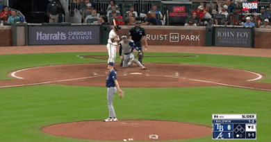 A cockroach fell onto the Braves’ broadcasters while they called the video game versus the Rays