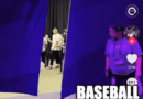 When the industry aspect of baseball turns into a bit too invested