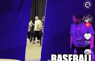 When the industry aspect of baseball turns into a bit too invested
