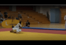 German judoka in hospital after being assaulted by opponent