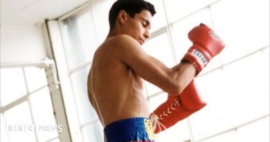 How the inheritor to Prince Naseem by no means grew to become king – Daniel Teasdale’s story