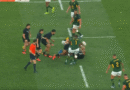 Determined All Black protection stops Springbok Counterattack on the road