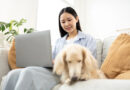 Earn a living from home? Here are 5 methods to economize on distant work bills.
