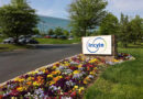 How Is Incyte’s Inventory Efficiency In comparison with Different Biotech Shares?
