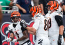 Flacco tells Joe Burrow he thought Ja’Marr Chase TD was ‘uncatchable’