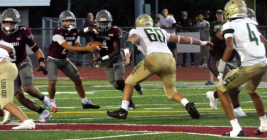 Naugatuck soccer rides Brandon Andoh’s 5 touchdowns previous Notre Dame-West Haven