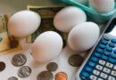 2 Dividend Stocks to Buy and Hold for the Next 5 Years