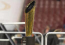 Why College Football Playoff is ‘nearer than ever’ to considerably rising measurement of subject