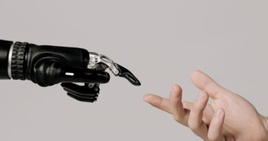Nonprofits’ Use Of AI Outstrips Coaching and Tips