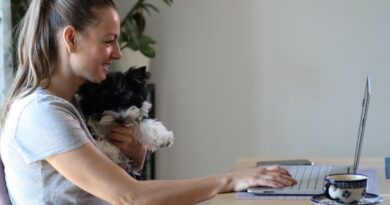 Work Rest Boundary Plan for Home-Based Entrepreneurs