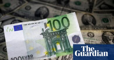 Euro falls to 17-month low in opposition to greenback amid French debt fears | Euro