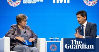 ‘International locations are defying gravity’: how for much longer can transnational commerce resist chaos? | Global macro economy