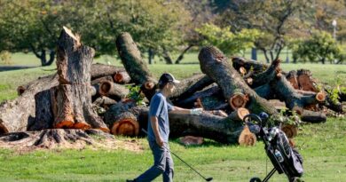 Trump to shut DC golf course for renovations citing ‘illness infested bushes’ regardless of order to halt
