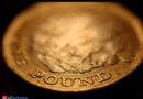 Sterling hits 17-month excessive in opposition to euro