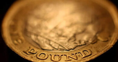 Sterling hits 17-month excessive in opposition to euro