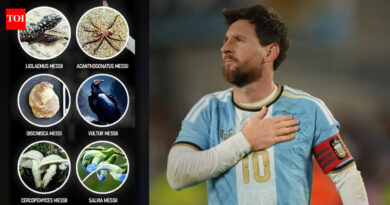 Lionel Messi breaks personal Guinness World Record with six species named in his honour: All the bugs, animals, fossils, fungi, and crops