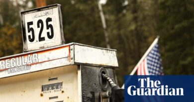 Too little, too late: Trump takes on fuel costs as gas prices hamper his midterm hopes | US midterm elections 2026