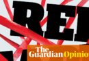 Reducing ‘pink tape’ is nothing however a pink herring – and arguably counterproductive | Heather Stewart