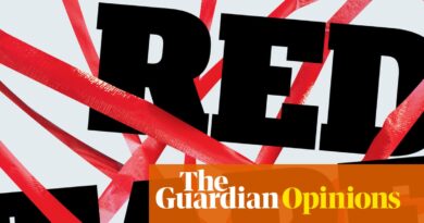 Reducing ‘pink tape’ is nothing however a pink herring – and arguably counterproductive | Heather Stewart
