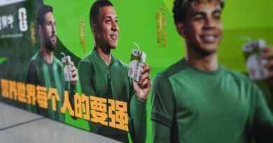 Mbappé is the newest international title to seek out himself on the flawed facet of Chinese patriotism