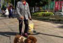 China’s elderly now outnumber children for the first time