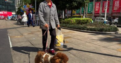China’s elderly now outnumber children for the first time