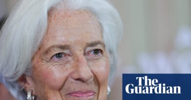 Europe’s central bank chief, Christine Lagarde, steps down for ‘freedom of speech’ | Christine Lagarde